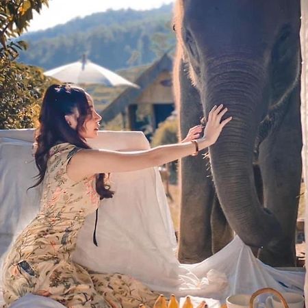 3 Pok Maewang Jinxiang Gold Elephant Park Mae Wang Εξωτερικό φωτογραφία