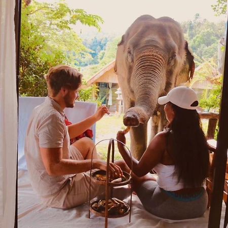 3 Pok Maewang Jinxiang Gold Elephant Park Mae Wang Εξωτερικό φωτογραφία