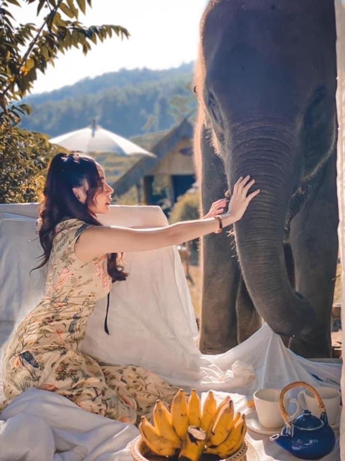 3 Pok Maewang Jinxiang Gold Elephant Park Mae Wang Εξωτερικό φωτογραφία