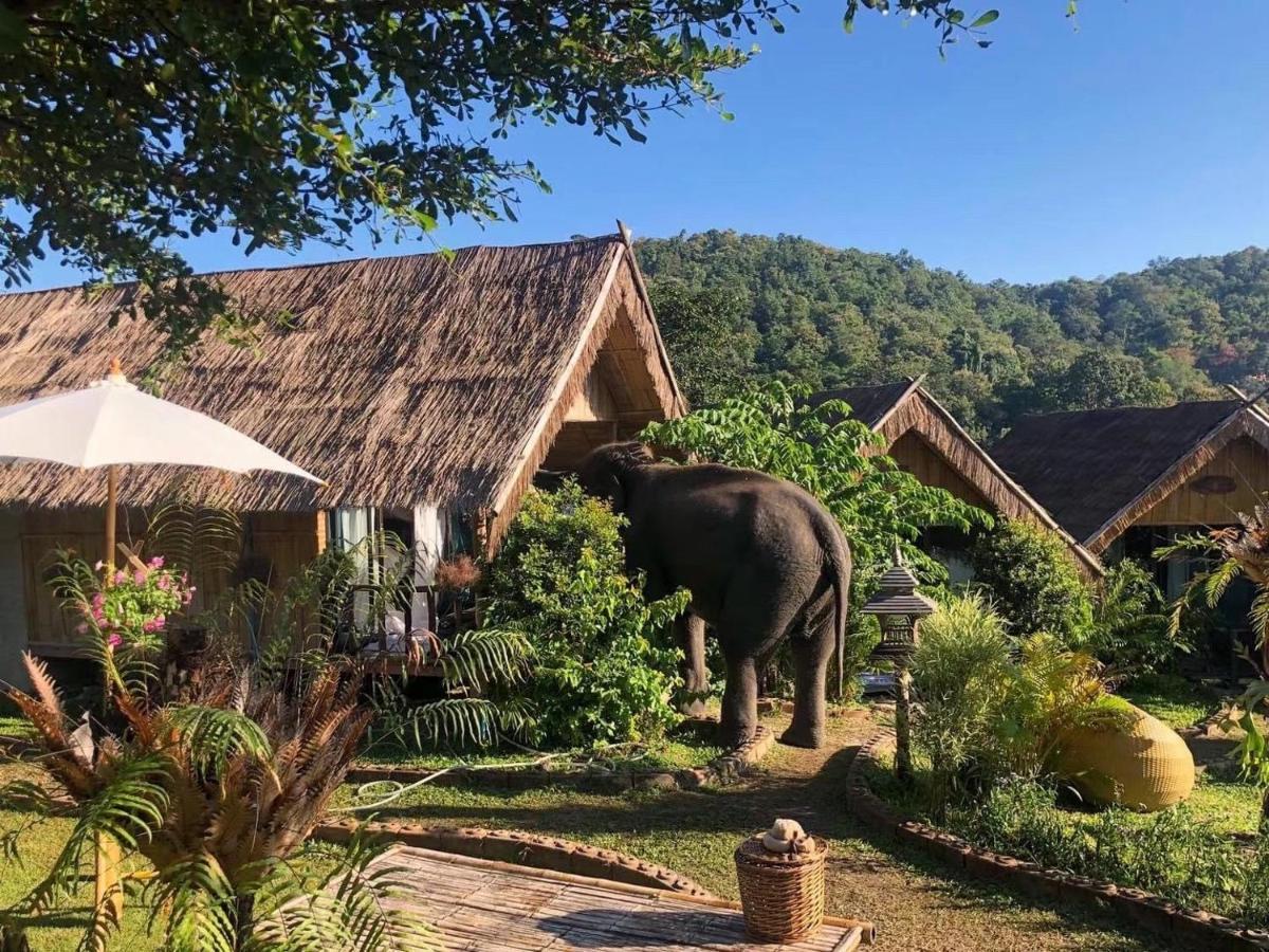 3 Pok Maewang Jinxiang Gold Elephant Park Mae Wang Εξωτερικό φωτογραφία