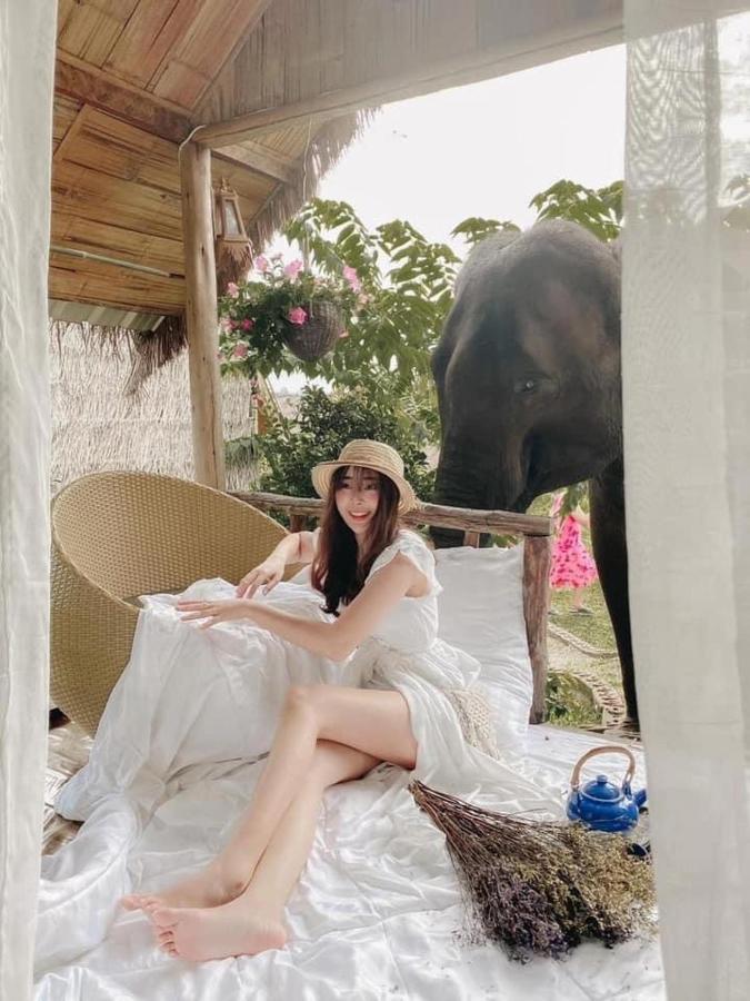 3 Pok Maewang Jinxiang Gold Elephant Park Mae Wang Εξωτερικό φωτογραφία