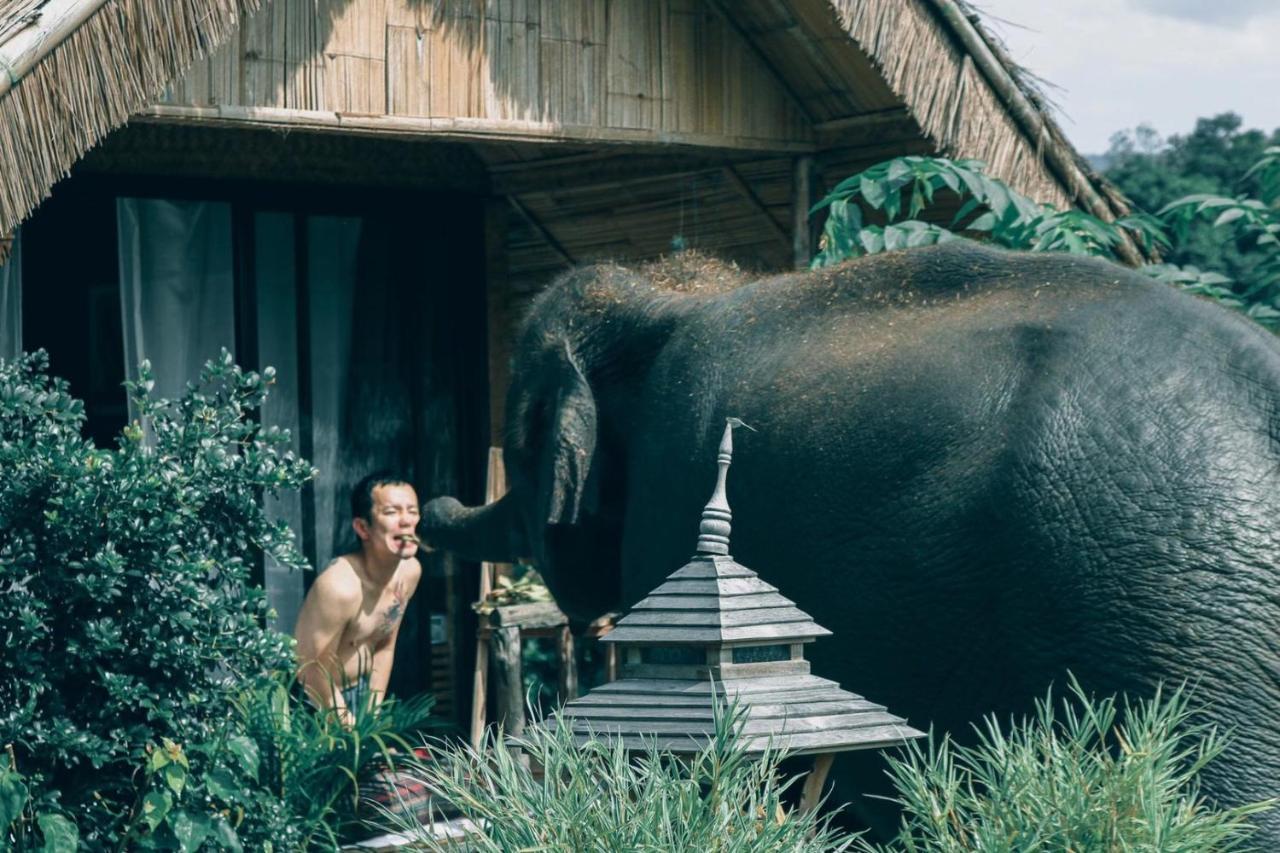 3 Pok Maewang Jinxiang Gold Elephant Park Mae Wang Εξωτερικό φωτογραφία