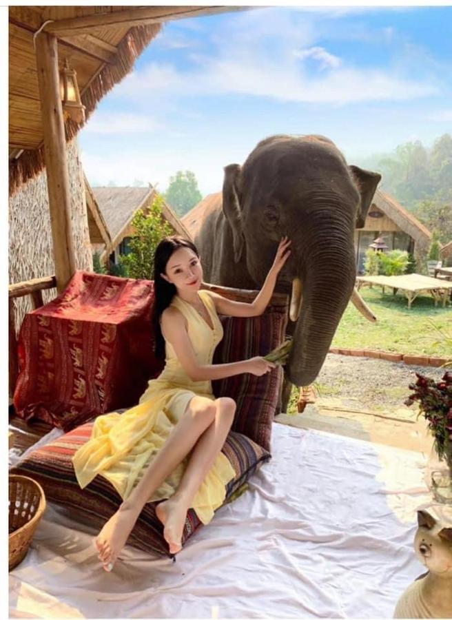 3 Pok Maewang Jinxiang Gold Elephant Park Mae Wang Εξωτερικό φωτογραφία