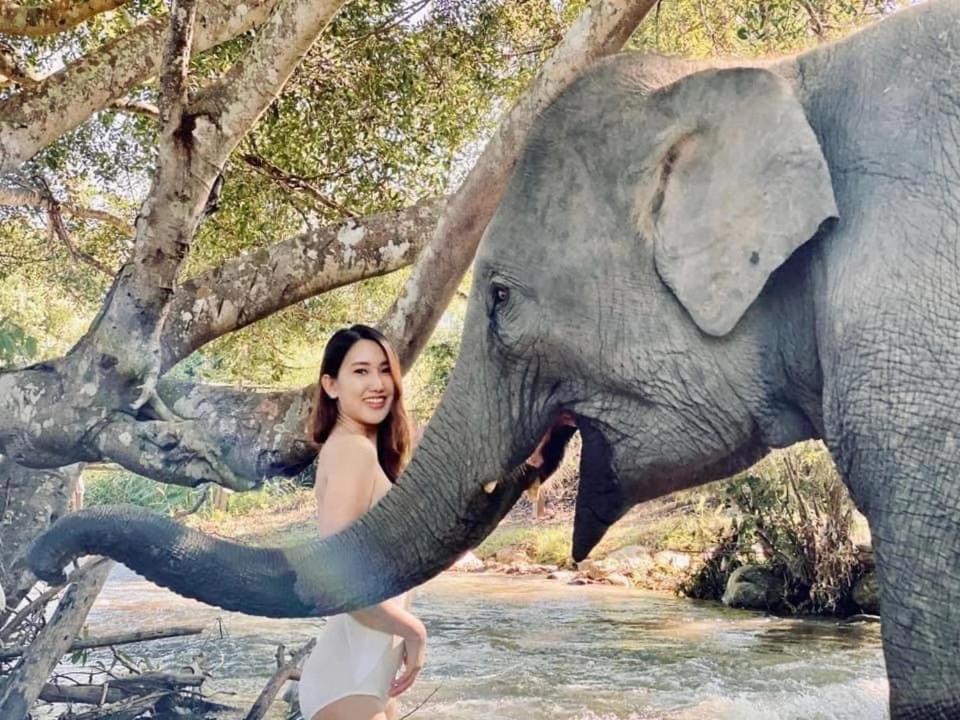 3 Pok Maewang Jinxiang Gold Elephant Park Mae Wang Εξωτερικό φωτογραφία