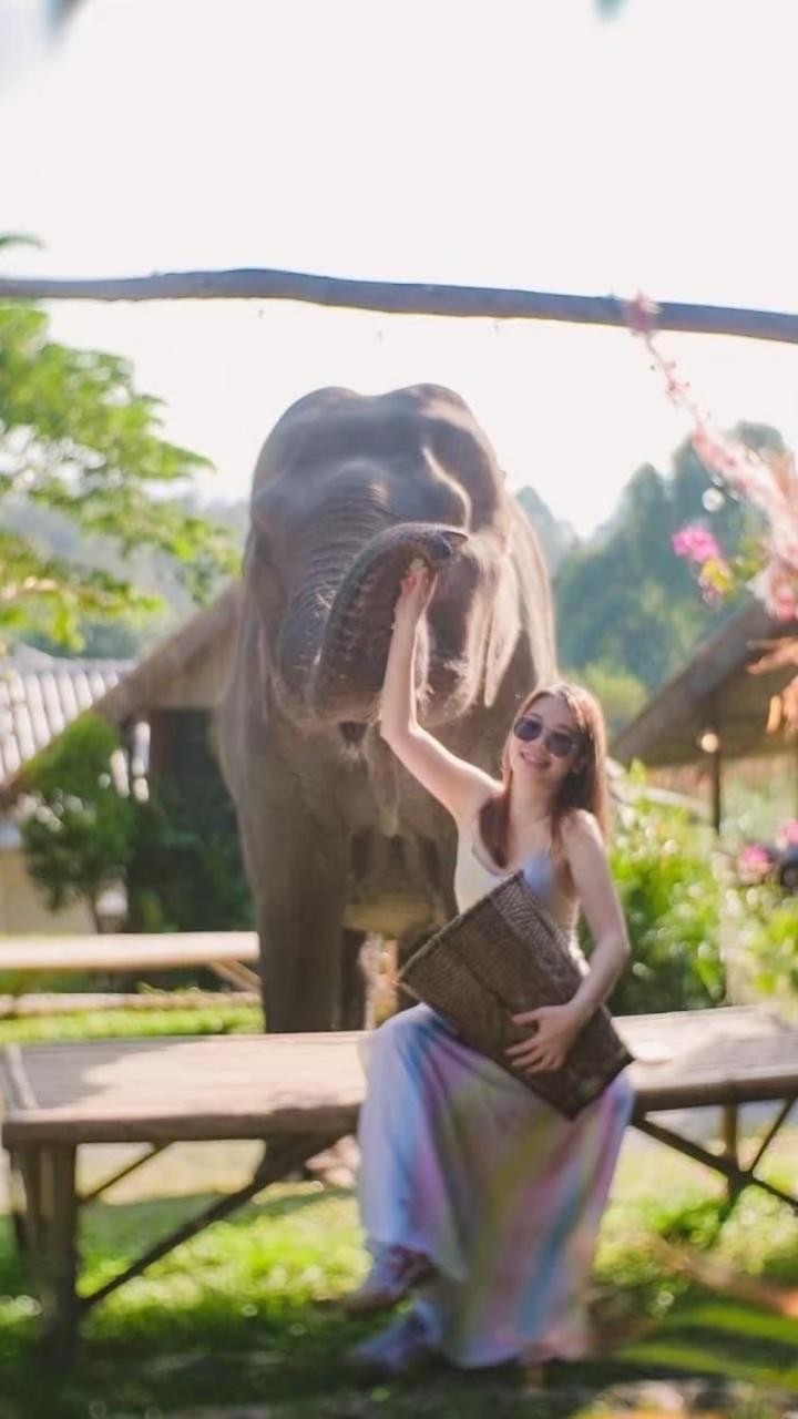 3 Pok Maewang Jinxiang Gold Elephant Park Mae Wang Εξωτερικό φωτογραφία