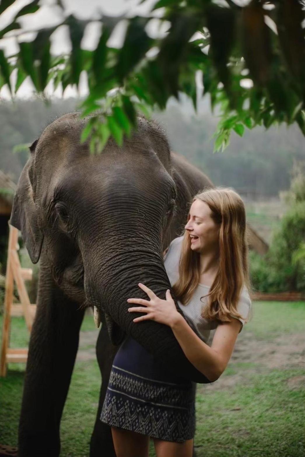 3 Pok Maewang Jinxiang Gold Elephant Park Mae Wang Εξωτερικό φωτογραφία
