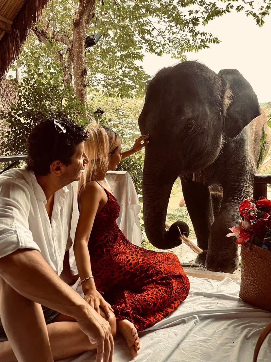3 Pok Maewang Jinxiang Gold Elephant Park Mae Wang Εξωτερικό φωτογραφία