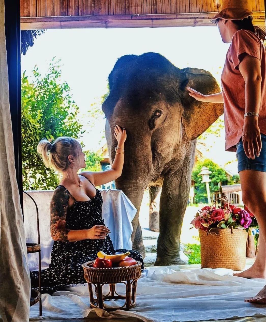 3 Pok Maewang Jinxiang Gold Elephant Park Mae Wang Εξωτερικό φωτογραφία