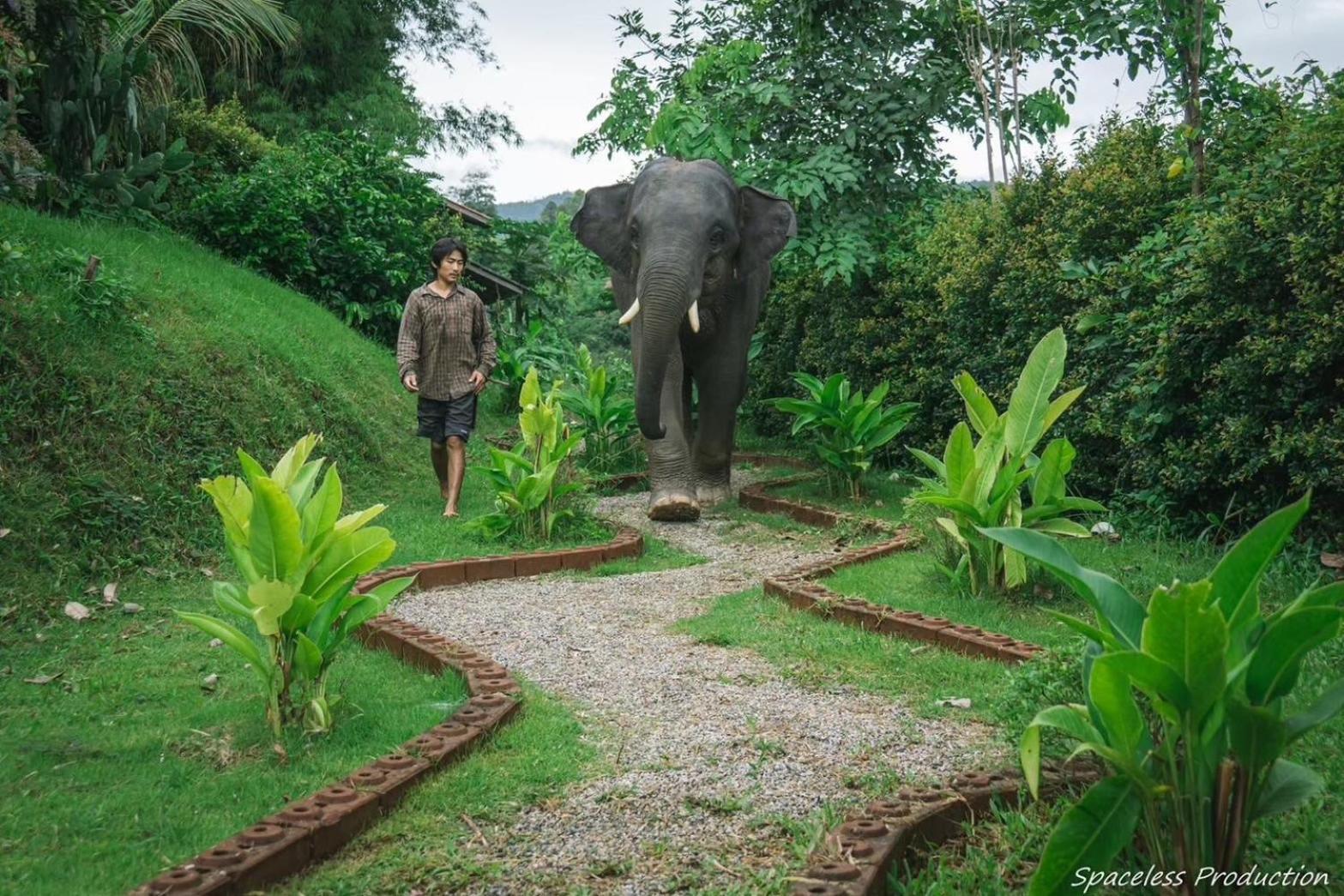 3 Pok Maewang Jinxiang Gold Elephant Park Mae Wang Εξωτερικό φωτογραφία