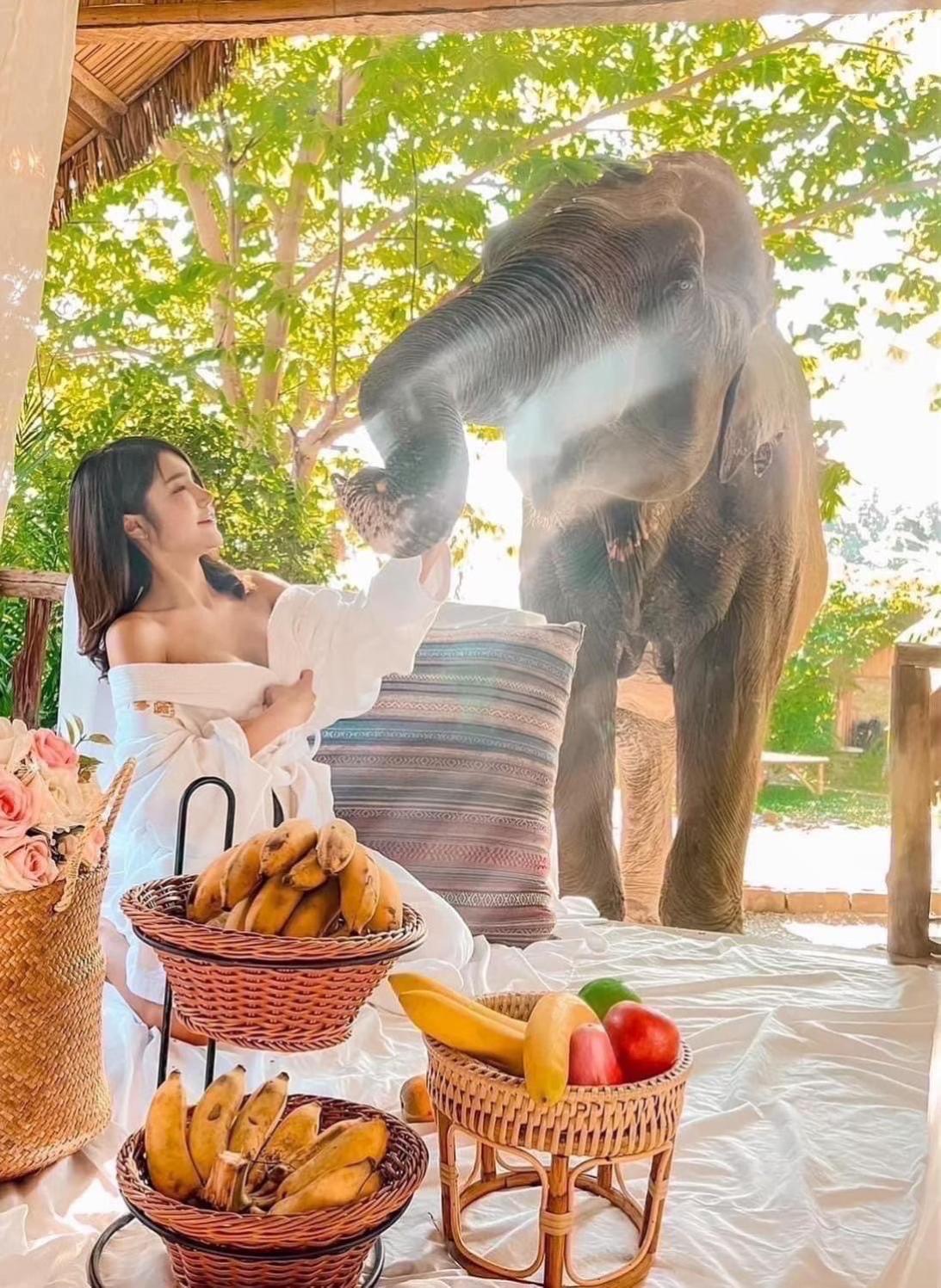 3 Pok Maewang Jinxiang Gold Elephant Park Mae Wang Εξωτερικό φωτογραφία