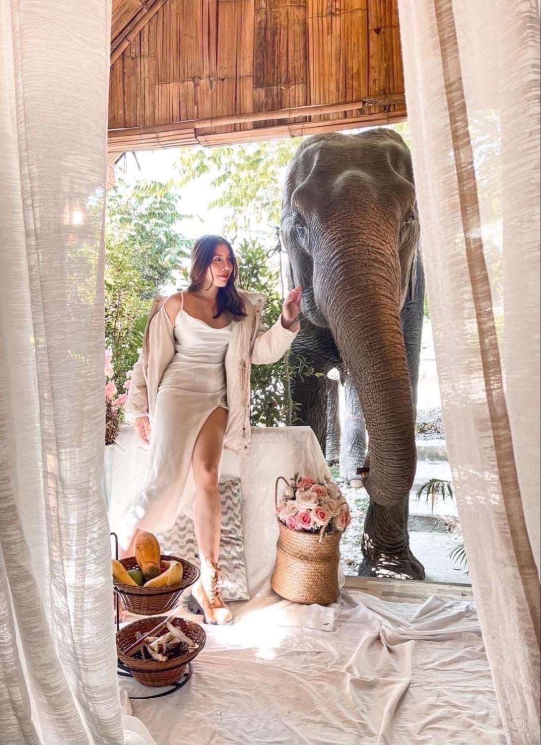 3 Pok Maewang Jinxiang Gold Elephant Park Mae Wang Εξωτερικό φωτογραφία