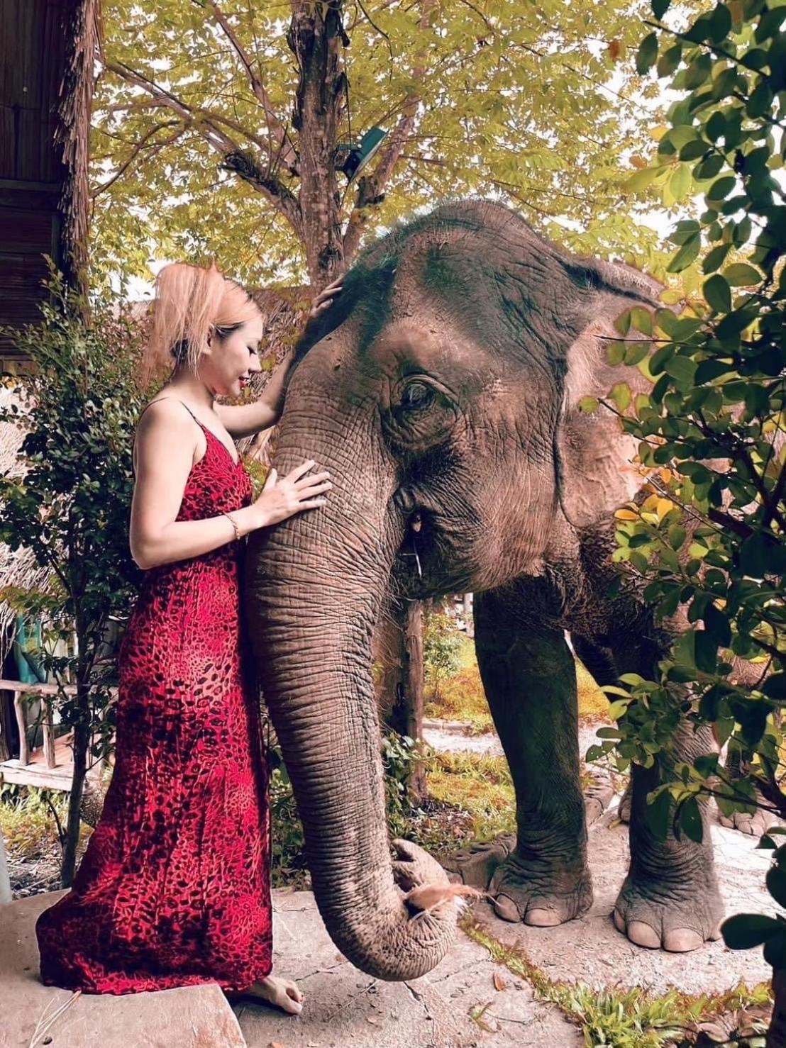 3 Pok Maewang Jinxiang Gold Elephant Park Mae Wang Εξωτερικό φωτογραφία