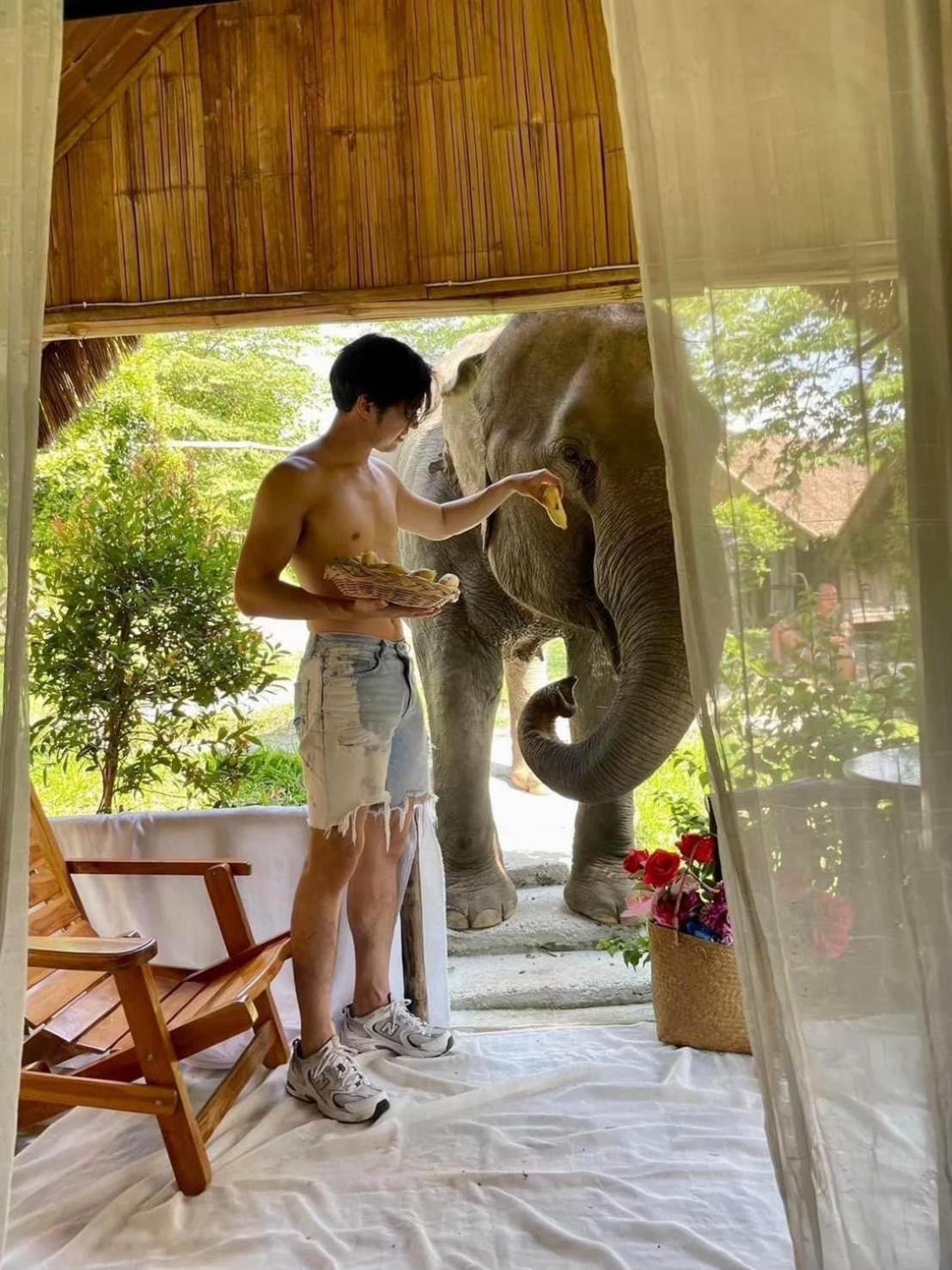3 Pok Maewang Jinxiang Gold Elephant Park Mae Wang Εξωτερικό φωτογραφία