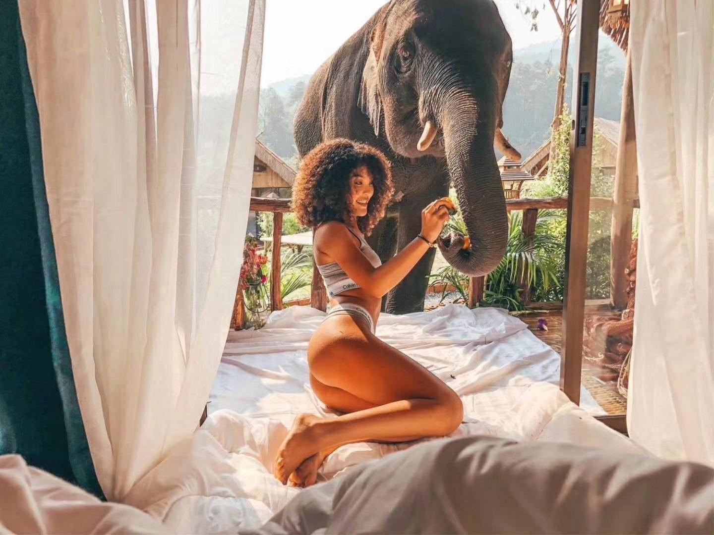 3 Pok Maewang Jinxiang Gold Elephant Park Mae Wang Εξωτερικό φωτογραφία