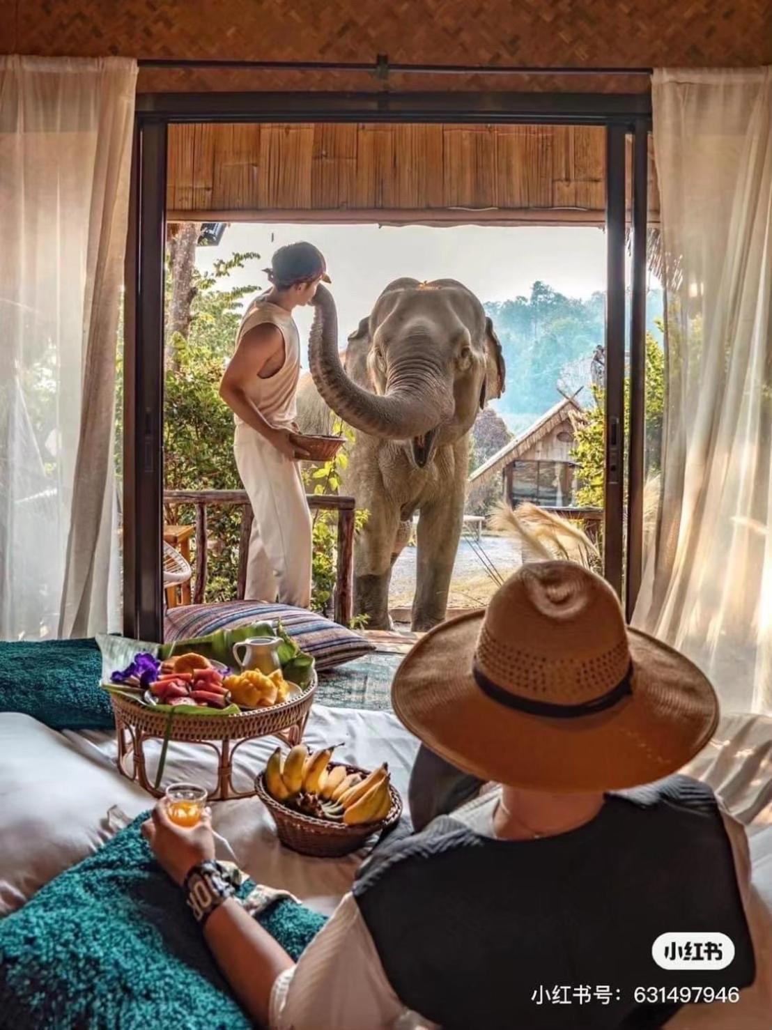 3 Pok Maewang Jinxiang Gold Elephant Park Mae Wang Εξωτερικό φωτογραφία