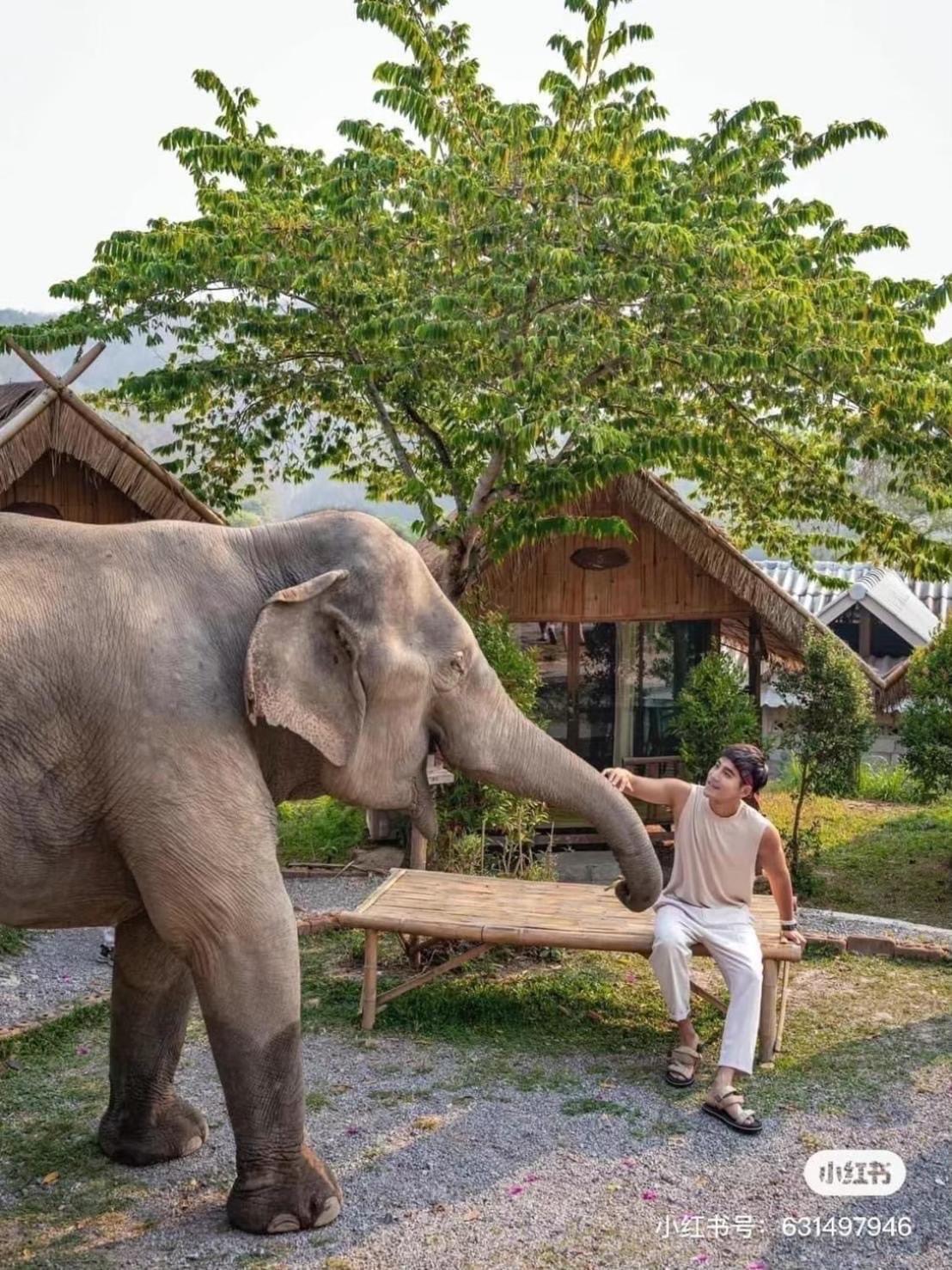 3 Pok Maewang Jinxiang Gold Elephant Park Mae Wang Εξωτερικό φωτογραφία