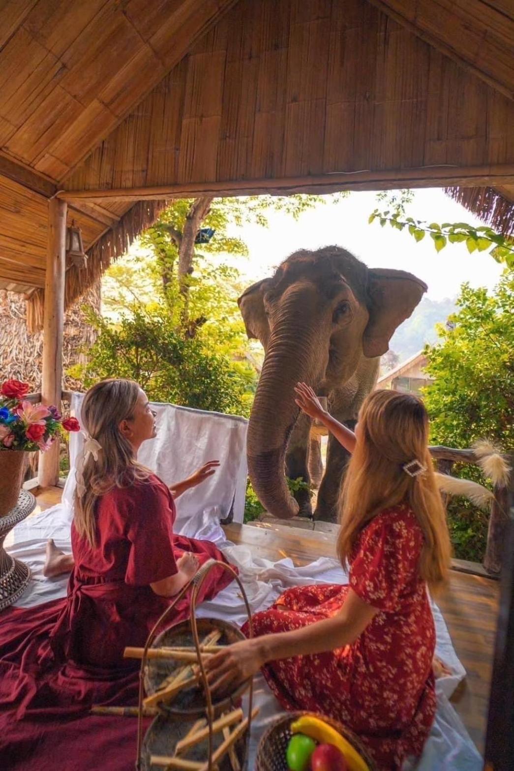 3 Pok Maewang Jinxiang Gold Elephant Park Mae Wang Εξωτερικό φωτογραφία