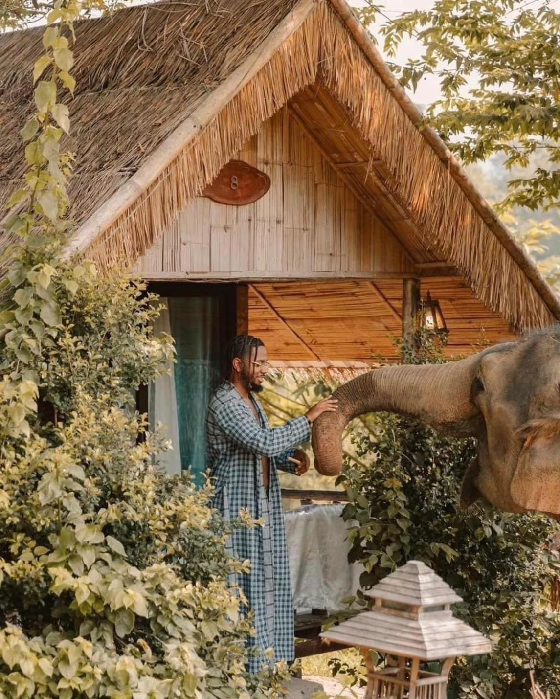 3 Pok Maewang Jinxiang Gold Elephant Park Mae Wang Εξωτερικό φωτογραφία